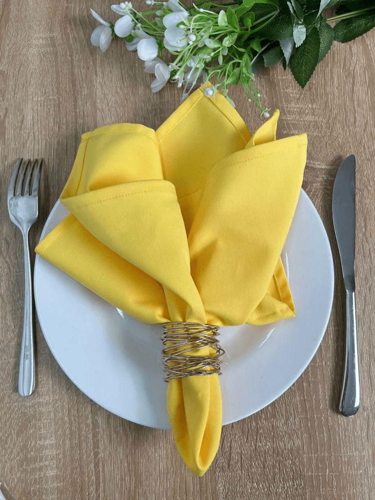 Lưu ý quan trọng khi lựa chọn và đầu tư khăn ăn cao cấp